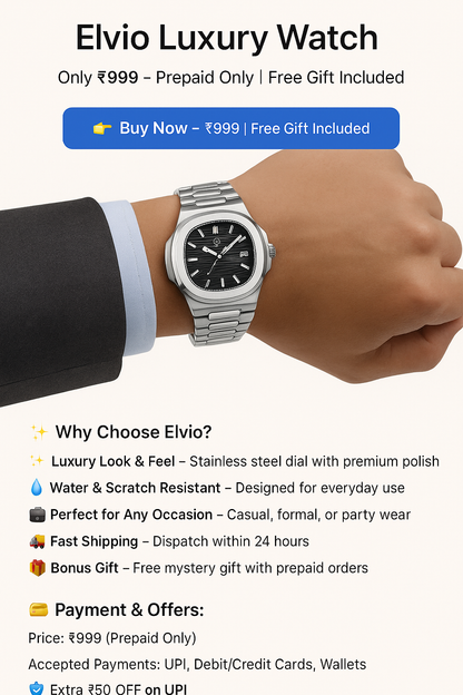 Elvio Luxury Stainless Steel Watch